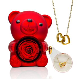 Cute Teddy Bear with Preserved Rose - A Real Rose Flower in Bear with Elegant Gift Box - Romantic Gift for Her (Red)